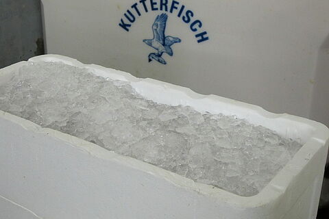 Ice in polystyrene fish boxes