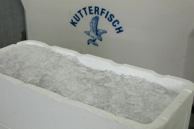 Hielo en cajas de poliestireno para peces