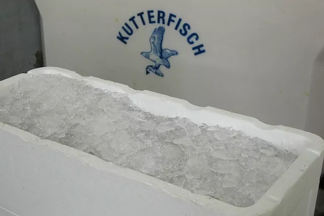 This image shows ice in polystyrene fish boxes for cold storage.