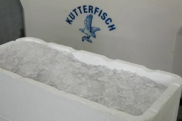 Glace dans des boîtes à poisson en polystyrène