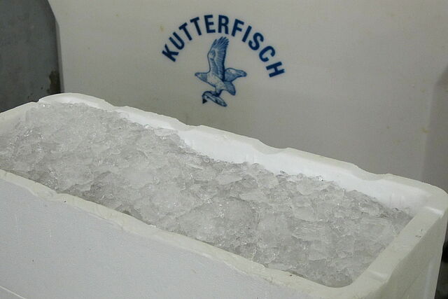Ice in polystyrene fish boxes