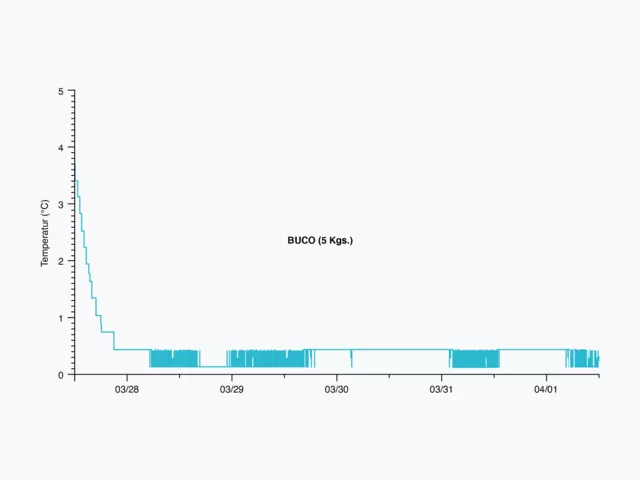 Dieses Bild zeigt eine Grafik des Fischkühlungsprozesses zur Veranschaulichung der Temperaturkontrolle. Dieses Bild zeigt eine Grafik des Fischkühlungsprozesses zur Veranschaulichung der Temperaturkontrolle.