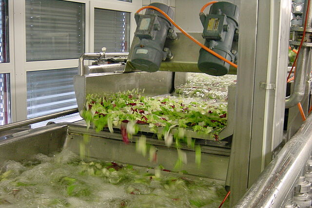 Enfriamiento del producto ensaladas listas para ser cortadas