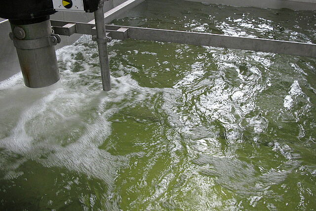 Einlass von Eiswasser in den Tank Einlass von Eiswasser in den Tank