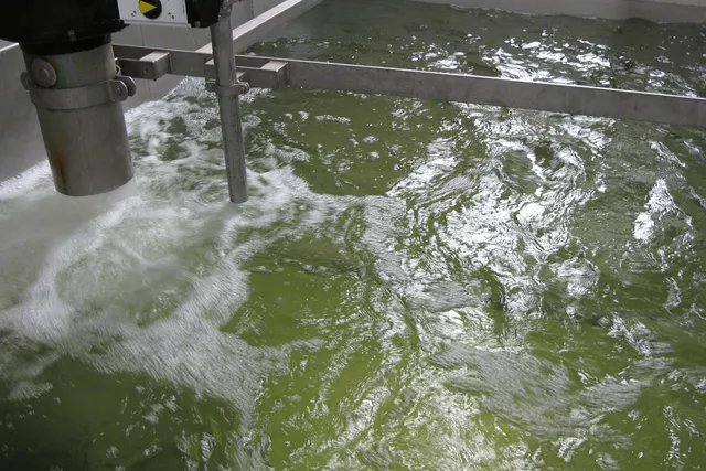 Einlass von Eiswasser in den Tank Einlass von Eiswasser in den Tank