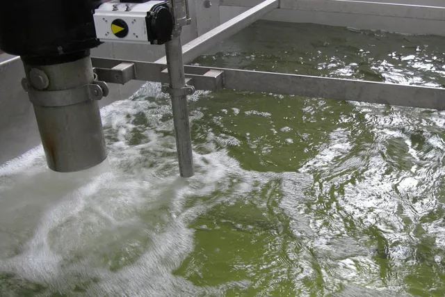 Einlass von Eiswasser in den Tank Einlass von Eiswasser in den Tank