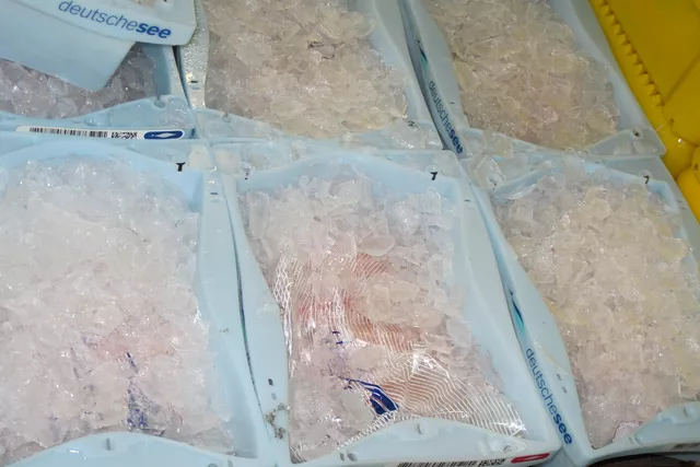 Ice in fish tubs Ice in fish tubs