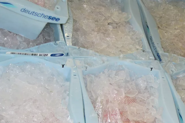 Ice in fish tubs