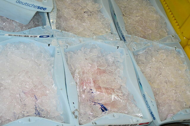 Ice in fish tubs Ice in fish tubs