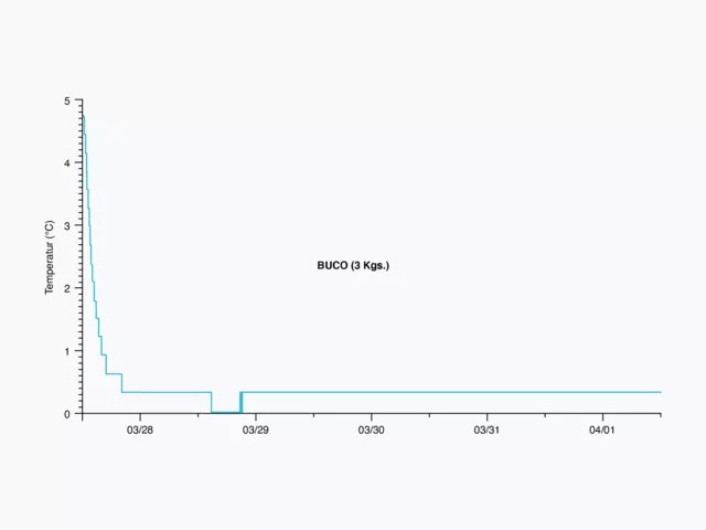 Dieses Bild zeigt eine Grafik des Fischkühlungsprozesses zur Veranschaulichung der Temperaturkontrolle. Dieses Bild zeigt eine Grafik des Fischkühlungsprozesses zur Veranschaulichung der Temperaturkontrolle.