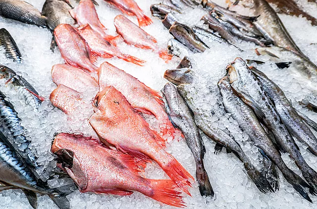 This image shows the fish cooling process used in seafood preservation.